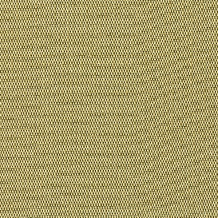 HT0033 var.16